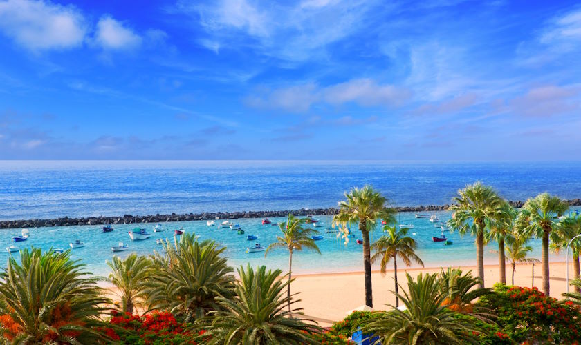 Langzeiturlaub und Überwintern auf Teneriffa am Strand unter Palmen