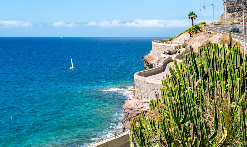 Überwintern am Meer auf Gran Canaria mit Palmen und Sandstrand