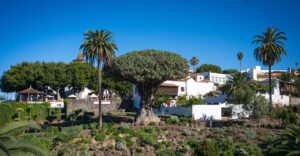 Icod de los Vinos auf Teneriffa