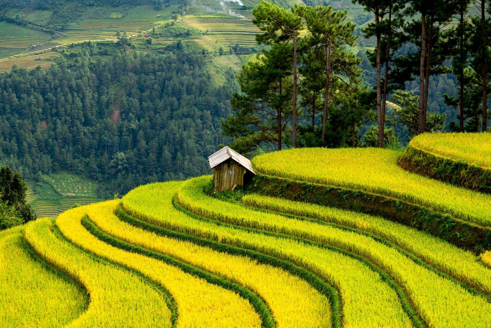 In Vietnam überwintern: Rundreise und Langzeitaufenthalt verbinden